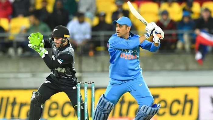 Longest Sixes in International Cricket 