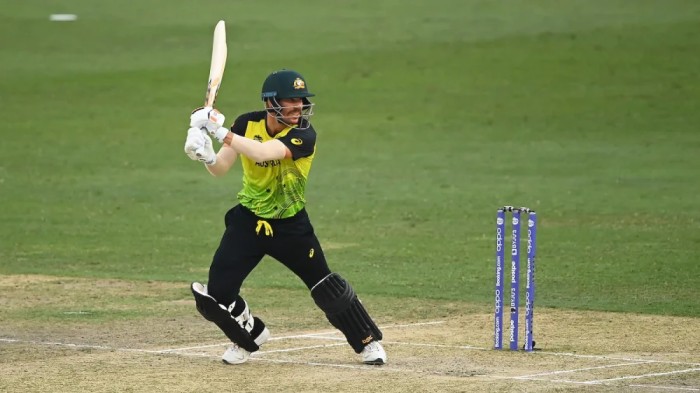 Most Career 4s in T20 